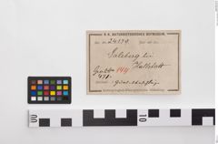 Etikett zu Bronzegürtelblech (NHMW-PRAE-024179)